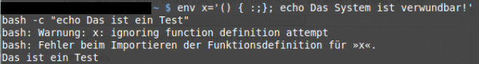 Screenshot eines Systems mit aktualisierter Bash