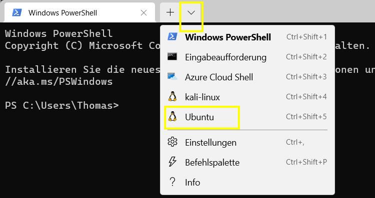 Screenshot Windows Terminal